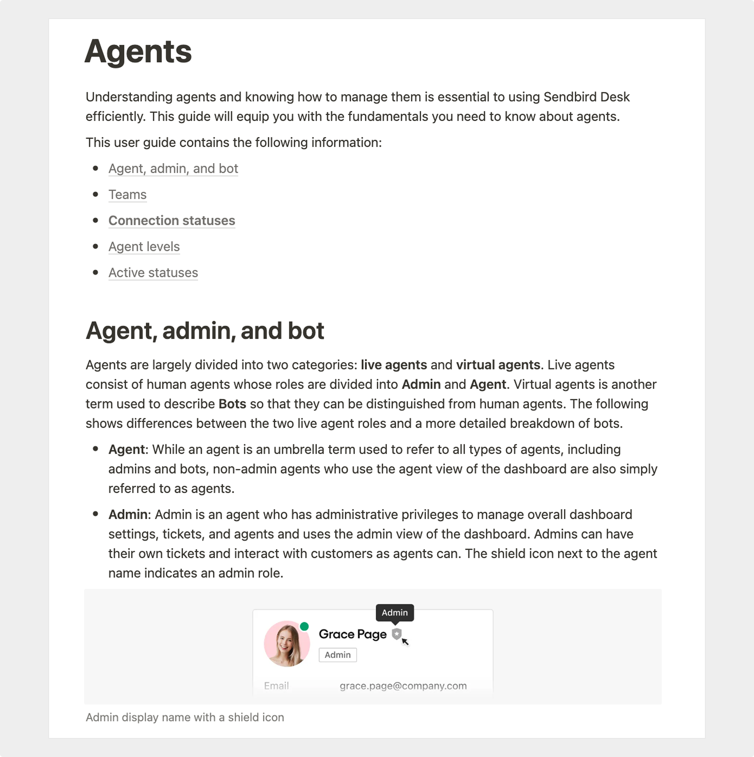 screenshot of Agents user guide page
