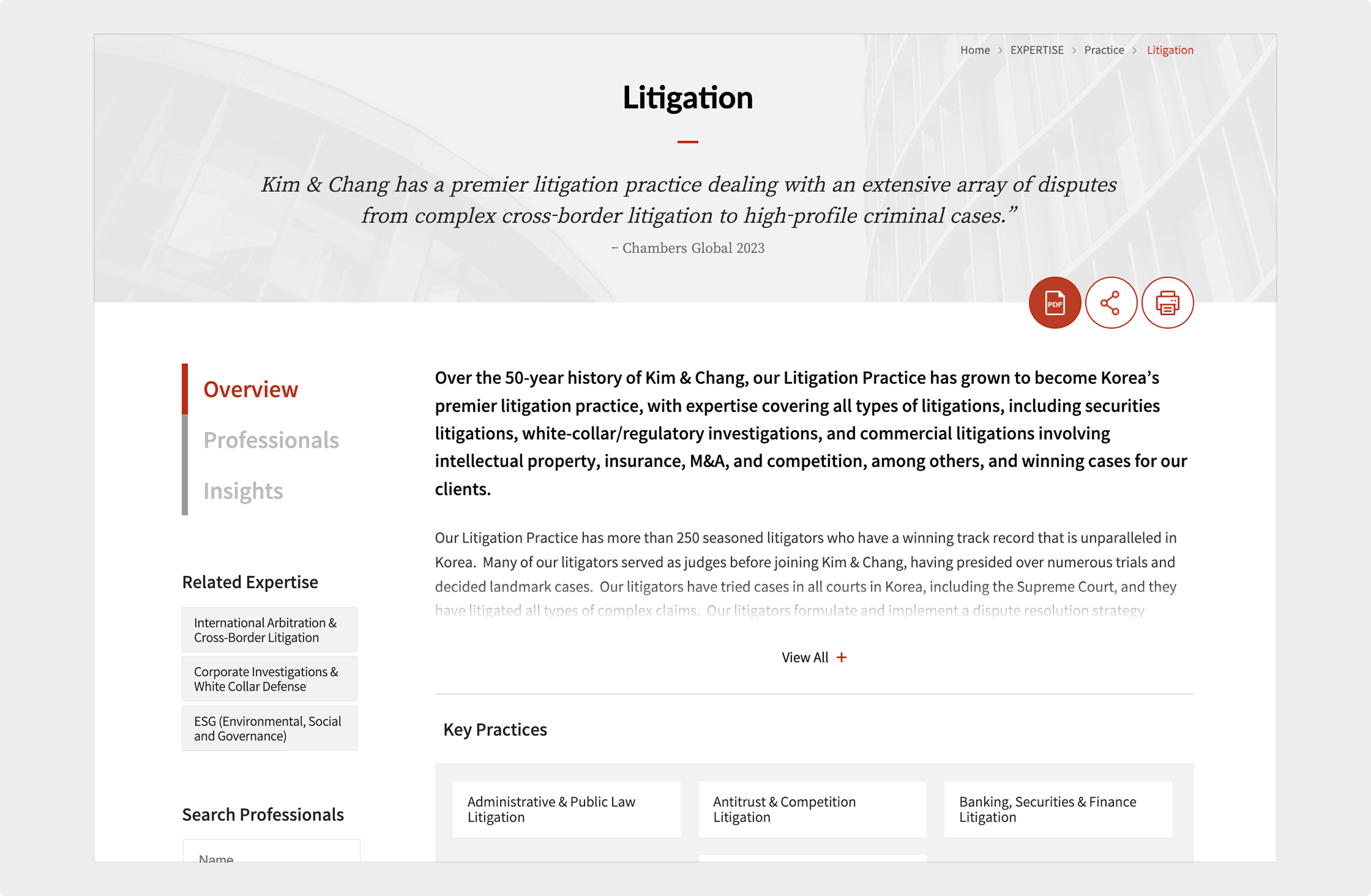 screenshot of litigation practice page